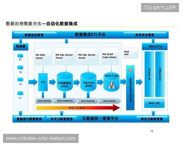 赖斯数据分析在商业决策中的应用与价值研究